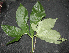 ( - BioBot00160)  @11 [ ] Copyright (2010) Unspecified Unspecified