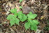  ( - BioBot00162)  @11 [ ] Copyright (2010) Unspecified Unspecified