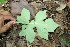  ( - BioBot00162)  @11 [ ] Copyright (2010) Unspecified Unspecified