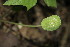  ( - BioBot00162)  @11 [ ] Copyright (2010) Unspecified Unspecified