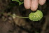  ( - BioBot00162)  @11 [ ] Copyright (2010) Unspecified Unspecified