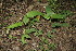  ( - BioBot00164)  @11 [ ] Copyright (2010) Unspecified Unspecified
