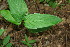  ( - BioBot00164)  @11 [ ] Copyright (2010) Unspecified Unspecified