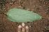  ( - BioBot00164)  @11 [ ] Copyright (2010) Unspecified Unspecified