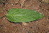  ( - BioBot00164)  @11 [ ] Copyright (2010) Unspecified Unspecified