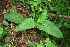  ( - BioBot00165)  @11 [ ] Copyright (2010) Unspecified Unspecified