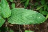  ( - BioBot00165)  @11 [ ] Copyright (2010) Unspecified Unspecified