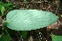  ( - BioBot00165)  @11 [ ] Copyright (2010) Unspecified Unspecified