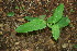  ( - BioBot00166)  @11 [ ] Copyright (2010) Unspecified Unspecified