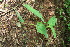  ( - BioBot00166)  @11 [ ] Copyright (2010) Unspecified Unspecified