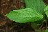  ( - BioBot00166)  @11 [ ] Copyright (2010) Unspecified Unspecified