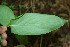  ( - BioBot00166)  @11 [ ] Copyright (2010) Unspecified Unspecified