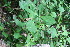  ( - BioBot00173)  @11 [ ] Copyright (2010) Unspecified Unspecified