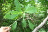  ( - BioBot00173)  @11 [ ] Copyright (2010) Unspecified Unspecified