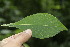  ( - BioBot00173)  @11 [ ] Copyright (2010) Unspecified Unspecified