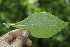  ( - BioBot00173)  @11 [ ] Copyright (2010) Unspecified Unspecified