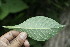  ( - BioBot00173)  @11 [ ] Copyright (2010) Unspecified Unspecified