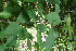  ( - BioBot00174)  @11 [ ] Copyright (2010) Unspecified Unspecified