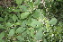  ( - BioBot00174)  @11 [ ] Copyright (2010) Unspecified Unspecified