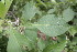  ( - BioBot00174)  @11 [ ] Copyright (2010) Unspecified Unspecified