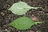  ( - BioBot00174)  @11 [ ] Copyright (2010) Unspecified Unspecified