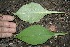  ( - BioBot00174)  @11 [ ] Copyright (2010) Unspecified Unspecified