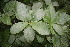 ( - BioBot00179)  @11 [ ] Copyright (2010) Unspecified Unspecified