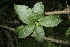 ( - BioBot00179)  @11 [ ] Copyright (2010) Unspecified Unspecified