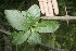  ( - BioBot00179)  @11 [ ] Copyright (2010) Unspecified Unspecified