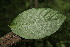  ( - BioBot00179)  @11 [ ] Copyright (2010) Unspecified Unspecified