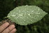  ( - BioBot00179)  @11 [ ] Copyright (2010) Unspecified Unspecified