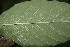  ( - BioBot00179)  @11 [ ] Copyright (2010) Unspecified Unspecified