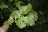  ( - BioBot00180)  @11 [ ] Copyright (2010) Unspecified Unspecified