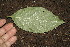  ( - BioBot00180)  @11 [ ] Copyright (2010) Unspecified Unspecified