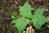  ( - BioBot00183)  @11 [ ] Copyright (2010) Unspecified Unspecified