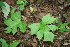  ( - BioBot00184)  @11 [ ] Copyright (2010) Unspecified Unspecified