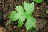 ( - BioBot00184)  @11 [ ] Copyright (2010) Unspecified Unspecified