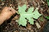  ( - BioBot00184)  @11 [ ] Copyright (2010) Unspecified Unspecified