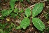  ( - BioBot00187)  @11 [ ] Copyright (2010) Unspecified Unspecified