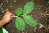  ( - BioBot00187)  @11 [ ] Copyright (2010) Unspecified Unspecified