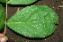  ( - BioBot00187)  @11 [ ] Copyright (2010) Unspecified Unspecified