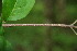  ( - BioBot00191)  @11 [ ] Copyright (2010) Unspecified Unspecified