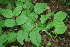  ( - BioBot00191)  @11 [ ] Copyright (2010) Unspecified Unspecified