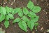  ( - BioBot00191)  @11 [ ] Copyright (2010) Unspecified Unspecified