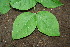  ( - BioBot00191)  @11 [ ] Copyright (2010) Unspecified Unspecified