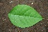 ( - BioBot00191)  @11 [ ] Copyright (2010) Unspecified Unspecified