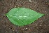  ( - BioBot00192)  @11 [ ] Copyright (2010) Unspecified Unspecified