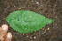  ( - BioBot00192)  @11 [ ] Copyright (2010) Unspecified Unspecified