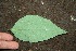  ( - BioBot00192)  @11 [ ] Copyright (2010) Unspecified Unspecified