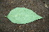 ( - BioBot00192)  @11 [ ] Copyright (2010) Unspecified Unspecified